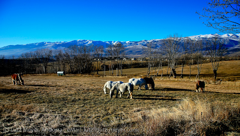 Sante Leocadie, Santa Llocaia, Cerdanya, Pyrenees, France