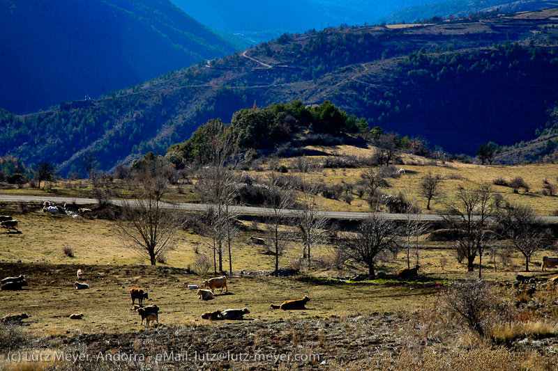 Catalunya rural: El Cadi at Alt Urgell