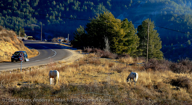 Catalunya rural: El Cadi at Solsones