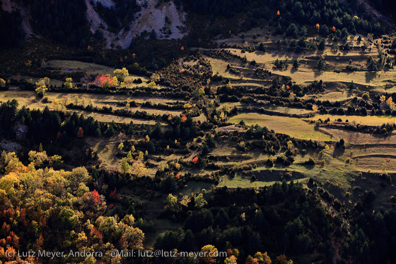 Autumn landscape of Serra Moixero, Cerdanya, Catalunya