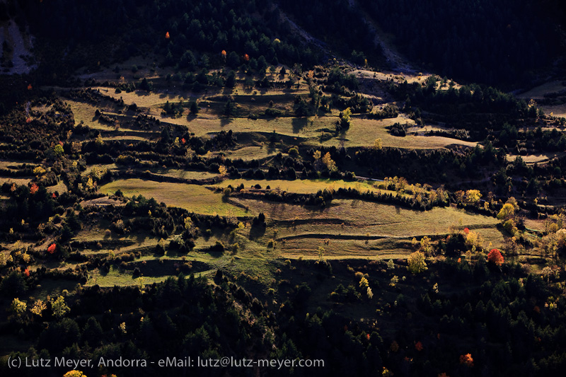 Autumn landscape of Serra Moixero, Cerdanya, Catalunya