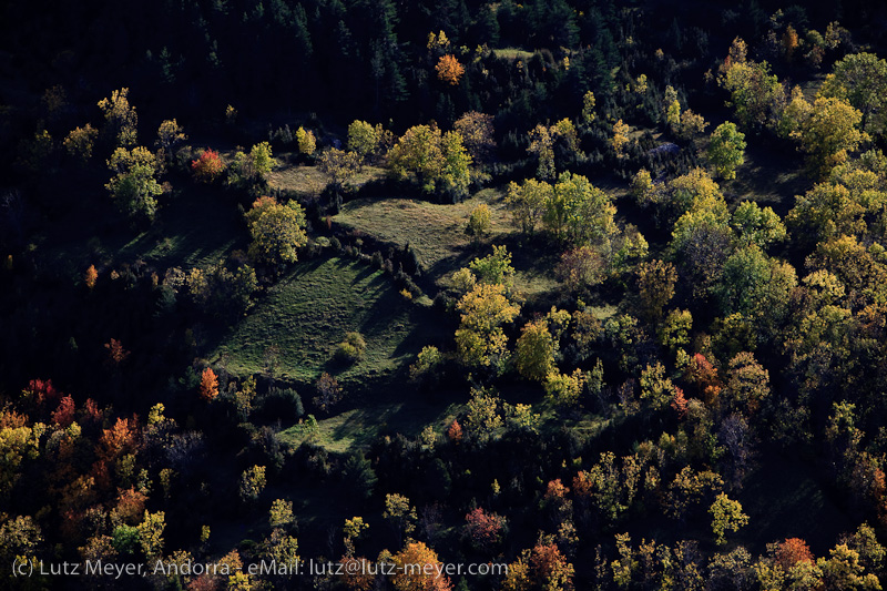 Autumn landscape of Serra Moixero, Cerdanya, Catalunya