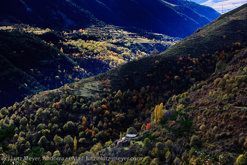 Autumn landscape of Serra Moixero, Cerdanya, Catalunya