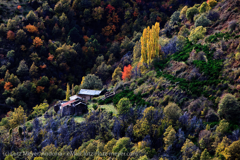 Autumn landscape of Serra Moixero, Cerdanya, Catalunya