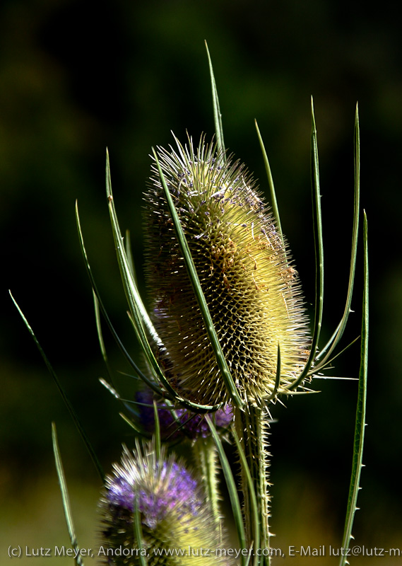 Andorra: Nature