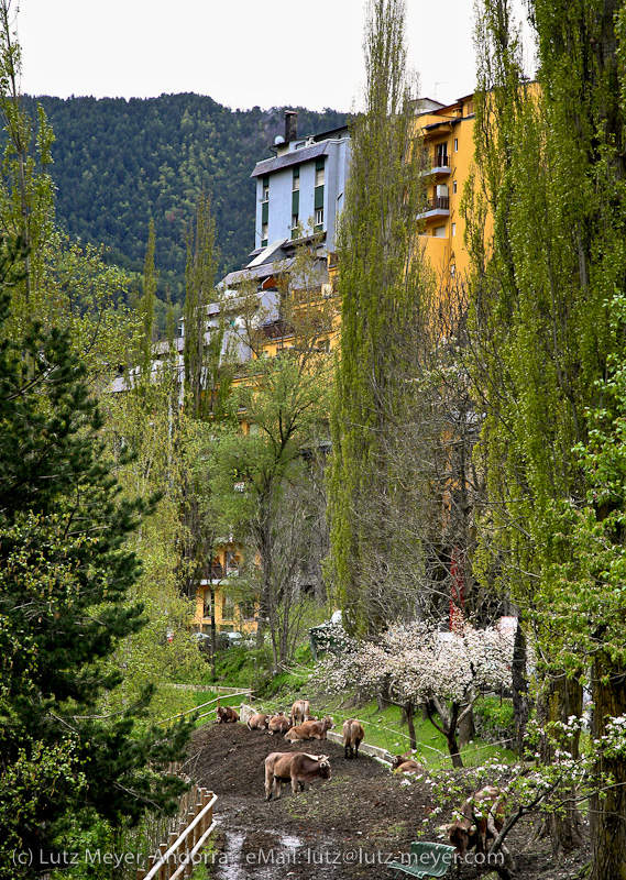 La Massana city, Parroquia de La Massana, Vallnord, Andorra, Pyrenees