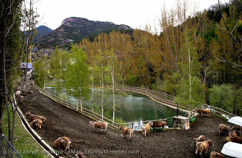 La Massana city, Parroquia de La Massana, Vallnord, Andorra, Pyrenees