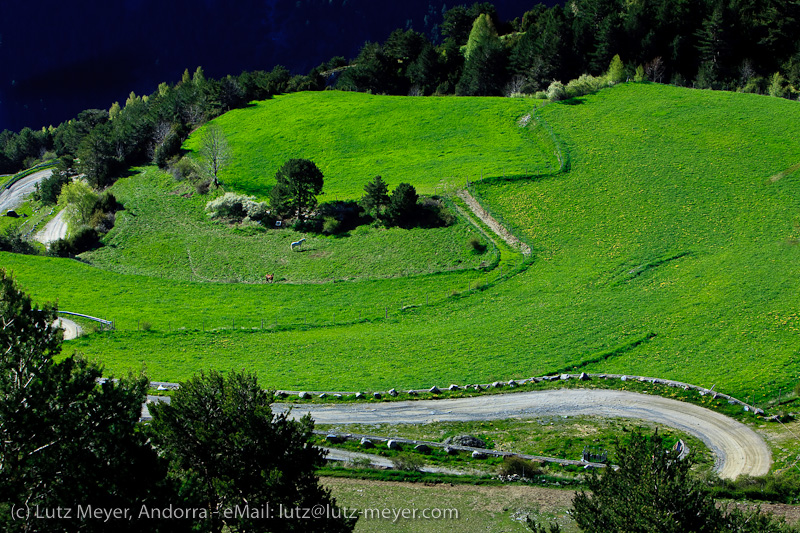 Andorra nature: Vall d'Orient, Andorra