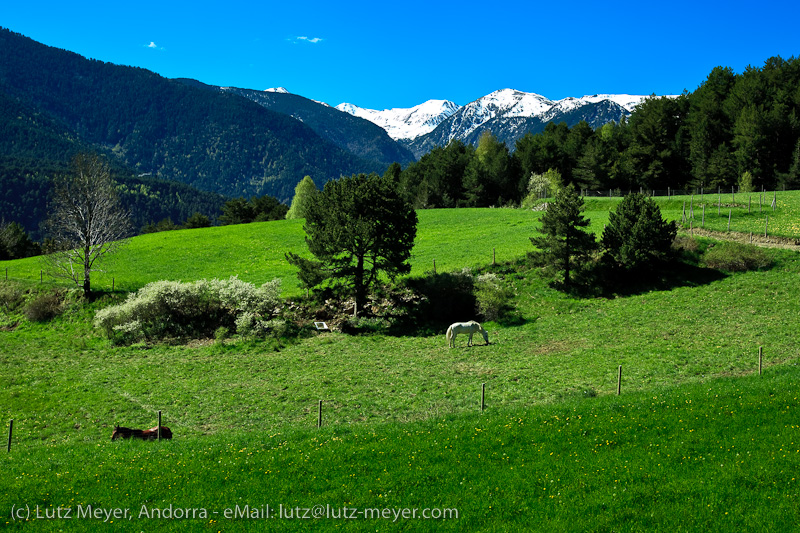 Andorra nature: Vall d'Orient, Andorra