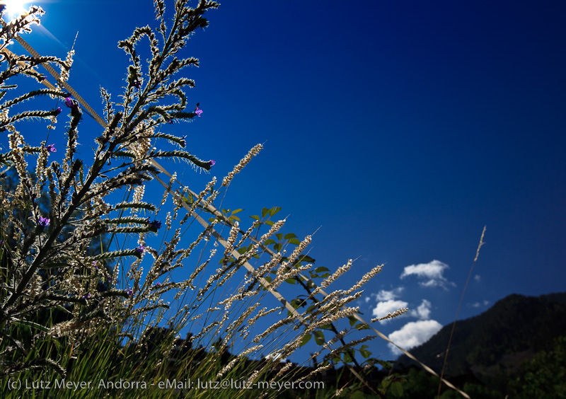 Rural life at Andorra city: Engordany