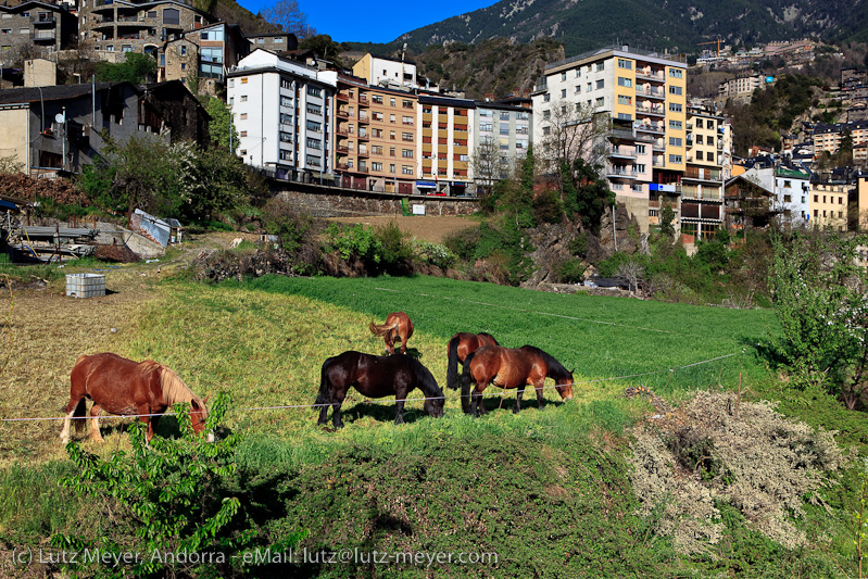 Rural life: Engordany, Andorra, Pyrenees