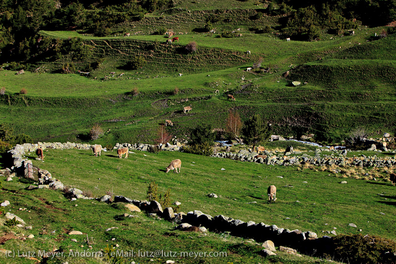 Andorra nature: Els Cortals, Vall d'Orient, Andorra