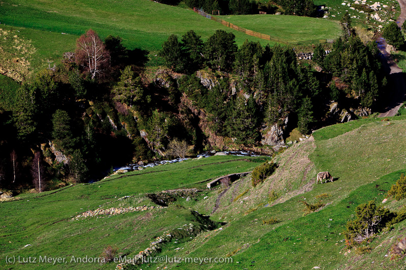 Andorra nature: Els Cortals, Vall d'Orient, Andorra