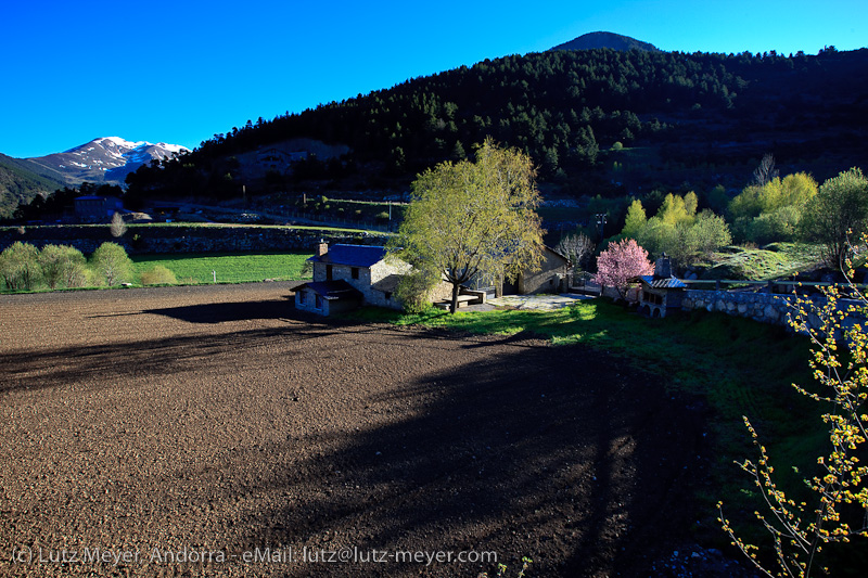 Andorra nature: Els Cortals, Vall d'Orient, Andorra