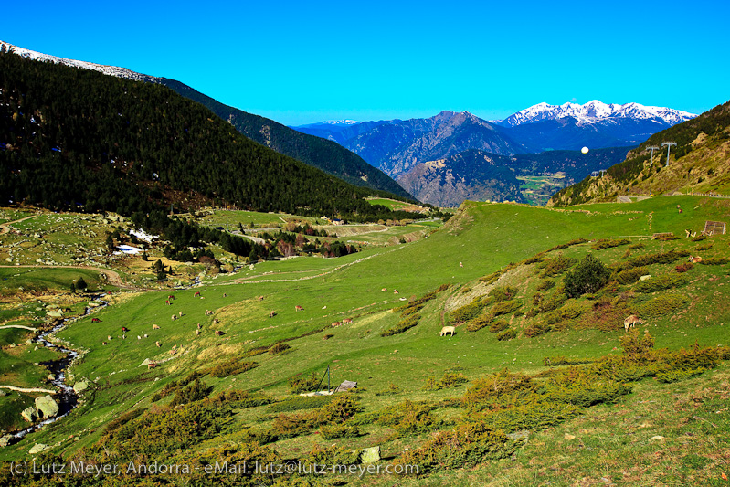 Andorra nature: Els Cortals, Vall d'Orient, Andorra