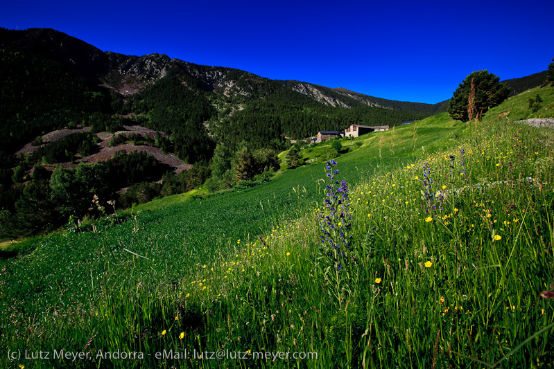 Andorra nature: Cortals de Sispony, La Massana, Vallnord, Andorra, Pyrenees