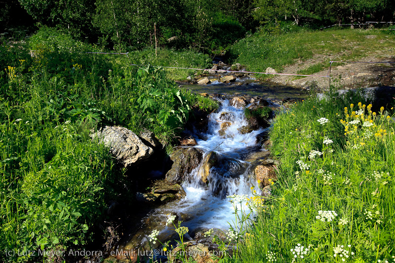 Andorra nature: Cortals de Sispony, La Massana, Vallnord, Andorra, Pyrenees