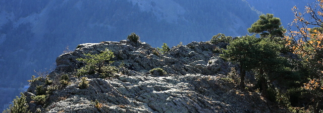 Coll de Jou, Els Vilars Andorra - Foto: Lutz Meyer