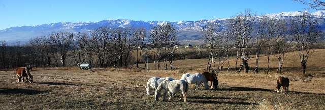 Catalunya, North of Spain - Foto Lutz Meyer