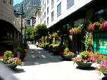 040726_andorra_blumen01_640.jpg