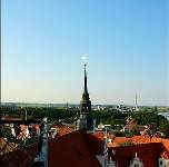 Torgau