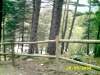 Bergsee Engolasters - bild131.jpg