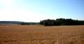 Landscape of Pla de l'Estany - img_1278_101.jpg
