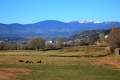 Blick zurck auf La Seu d'Urgell bei Alas, Cerdanya, Katalonien - img_1542_3.jpg