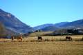 La Seu d'Urgell - img_3340_6.jpg