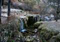 Fonts del Cardener, La Coma, Solsons - img_3656_60.jpg