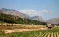 agricultura, Landwirtschaft am Pant de Rialb, Embassament, water-reservoir, Stausee - img_4482_14.jpg