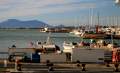 Fischereihafen L'Ampolla - img_2296_32.jpg