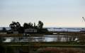 Ebro Delta von Sant Carles de la Rpita - img_2328_45.jpg