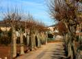 Ulldecona - img_2423_69.jpg