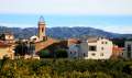 Xerta - img_2479_79.jpg