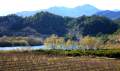 Ebro - img_2488_81.jpg