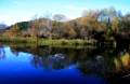 Ebro bei Benifallet - img_2499_85.jpg